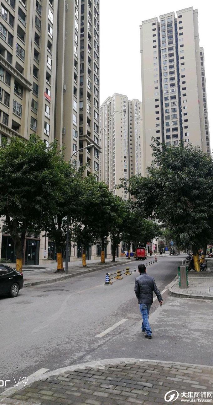 沙坪坝梨树湾融汇童话里临街旺铺出租