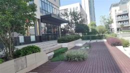 （可分租）岳麓区碧桂园智慧园精装写字楼低价出租