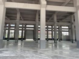 长沙县安沙镇龙华新村独栋钢结构优质全新标准合格厂房出租