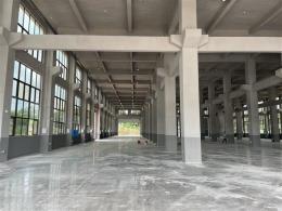 长沙县安沙镇龙华新村独栋钢结构优质全新标准合格厂房出租