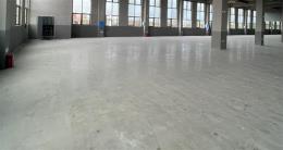 长沙县安沙镇龙华新村独栋钢结构优质全新标准合格厂房出租